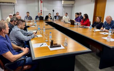 Diretoria do Sulpetro debate normativas do setor