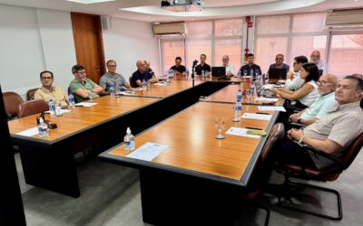 Diretoria do Sulpetro debate Reforma Tributária e normativas do setor